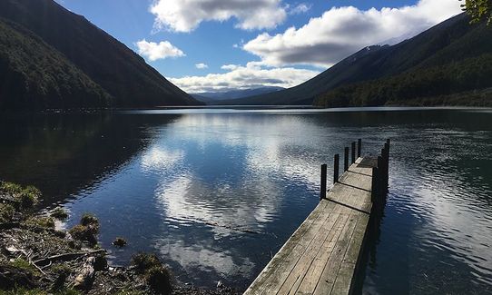 Rotoiti Loop The Lake, Tasman