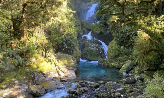 Milford Track , Southland