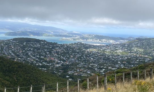 Extended Skyline, Wellington