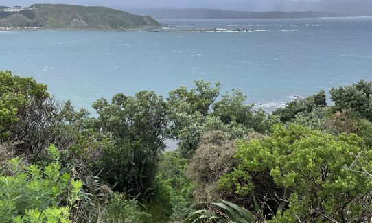 Te Raekaihau Point, Wellington