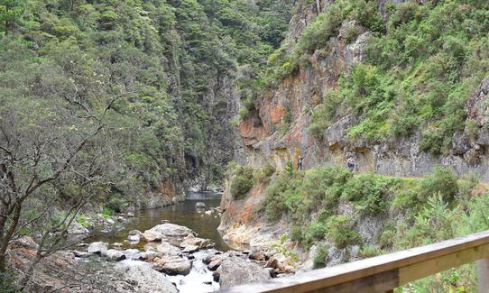 Trail Challenge Waihi official marathon, Waikato