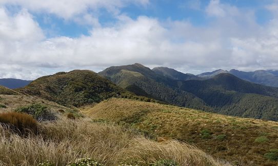 South Main Range Loop , Wellington