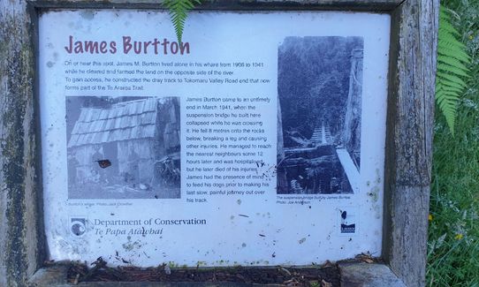 Burrton's Track Return, Manawatu - Wanganui