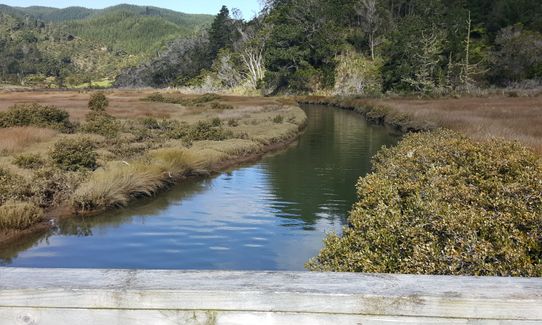Pauanui Trail - Stage 1 , Waikato