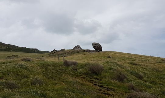 Mores Reserve Loop, Southland
