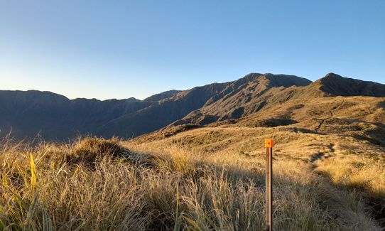 Pakihore Ridge Loop, Wellington
