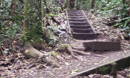 Kakepuku Climb, Waikato