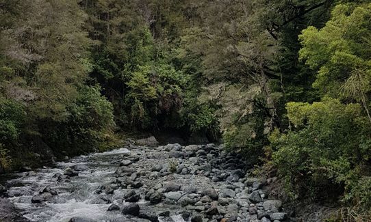 Hacket Hut & Whispering Falls, Tasman