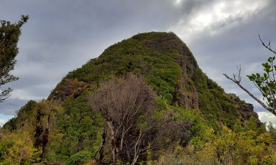 Mount Titiraupenga , Waikato