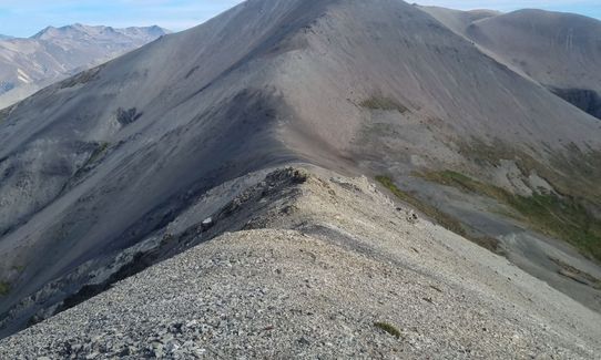 Mount Bruce 