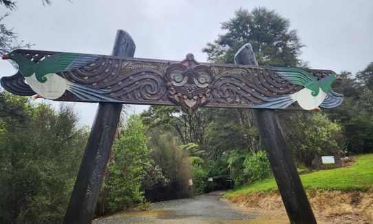 Hilly Hakarimata Loop, Waikato
