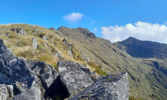 Klondyke Loop, West Coast