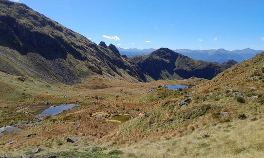 Klondyke Loop, West Coast