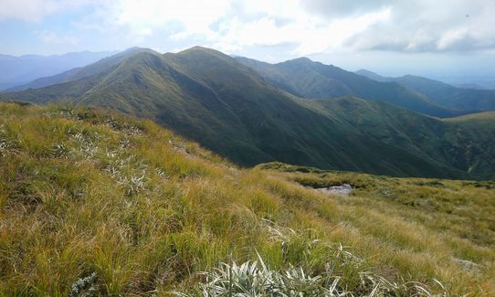 Knights - Shorts loop track with Toka peak, Manawatu - Wanganui