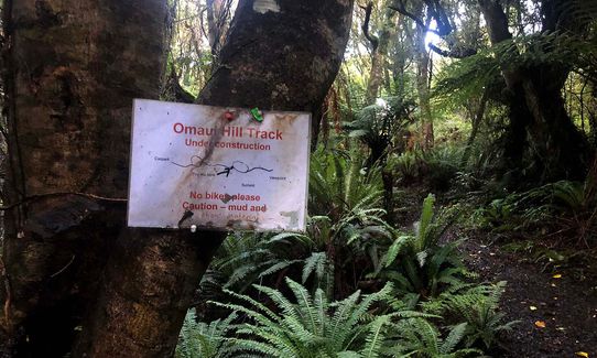 Omaui Reserve, Southland