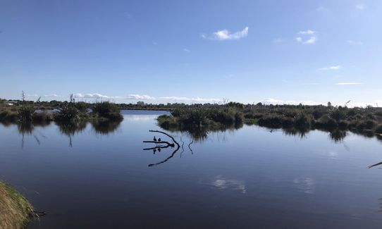 360 Trail - Dunes Wetlands Section, Canterbury
