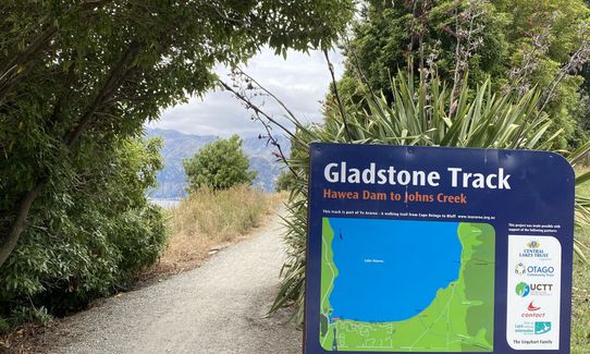 Hawea Gladstone Jaunt, Otago