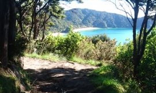 Gibbs Hill Loop, Tasman