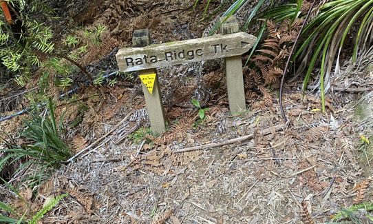 Rata Ridge - Hunua, Auckland