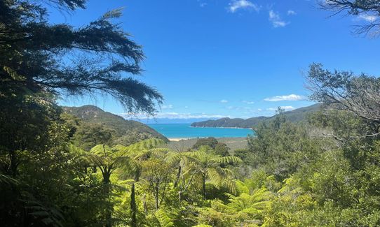 Abel Tasman Awaroa to Mārahau, Tasman