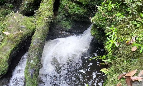 Tawarau Falls, Waikato