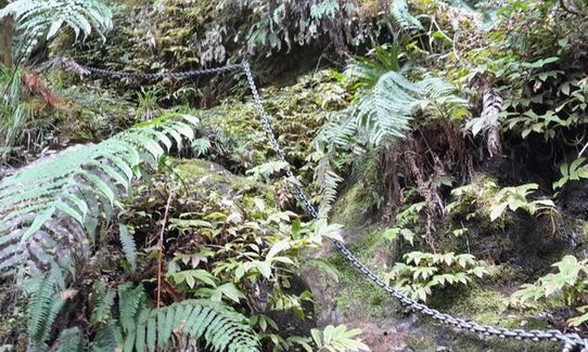 Tawarau Falls, Waikato