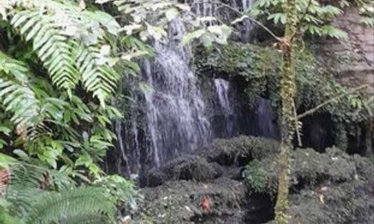 Tawarau Falls, Waikato