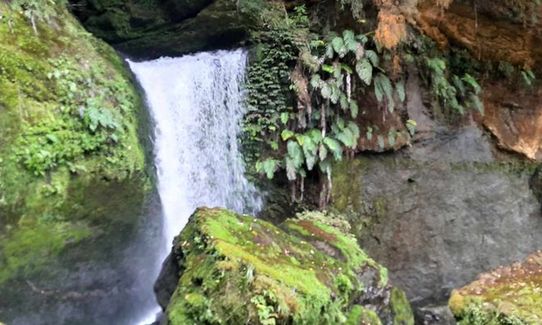 Tawarau Falls, Waikato