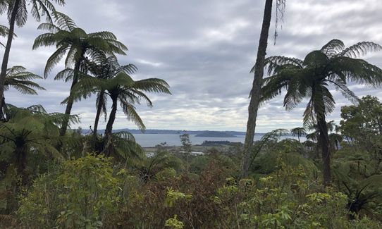 Tokorangi Pa Track, Bay of Plenty
