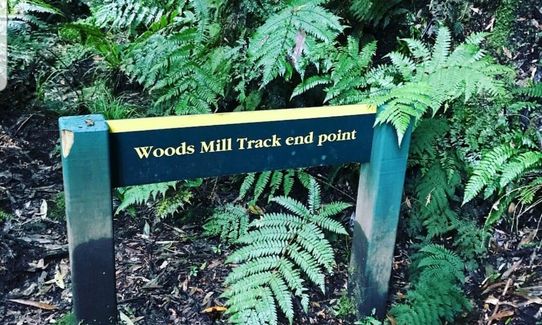 Woods Mill Track, Waikato