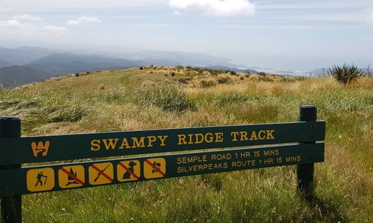 Swampy Ridge Track, Otago