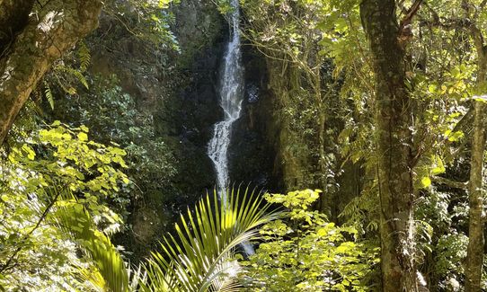Sugarloaf and Waterfalls Loop, Wellington