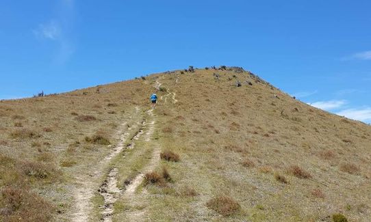 Sawpit Gully - German Hill, Otago