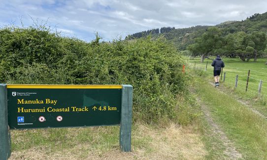 Manuka Bay Track, Canterbury