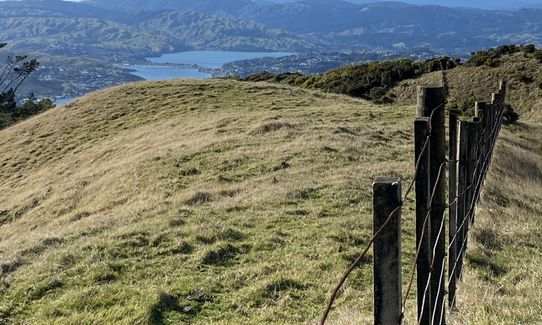 Colonial Knob - All the Hills, Wellington