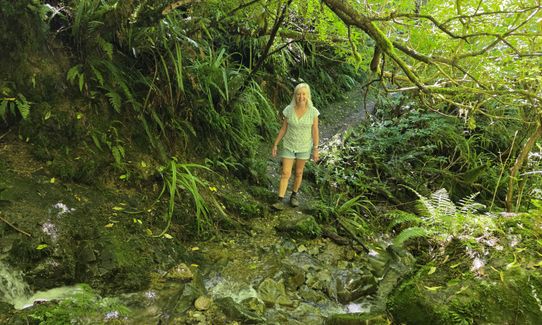 A-Peeling!, Canterbury