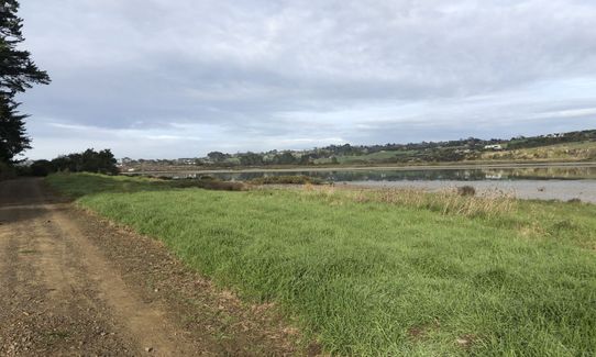 Whitford Coastal Trail Loop , Auckland