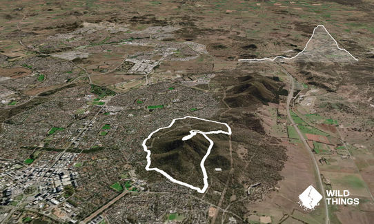 Ainslie Amble, Australian Capital Territory