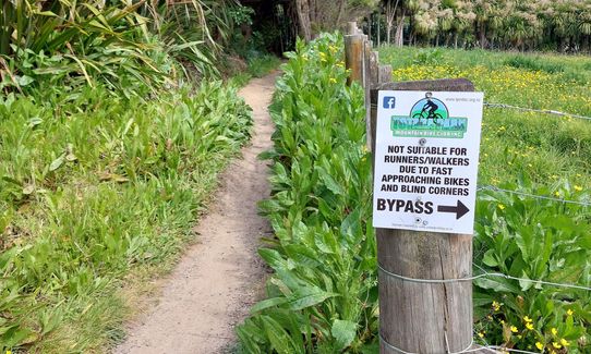 Anaconda Wanderer, Auckland