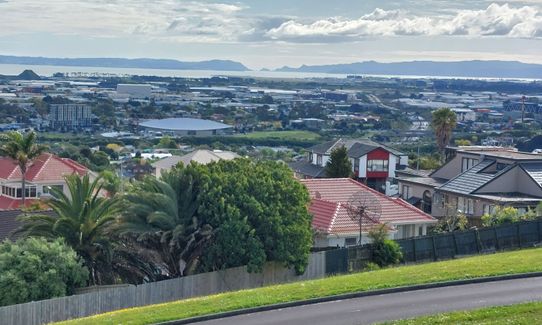 Anaconda Wanderer, Auckland