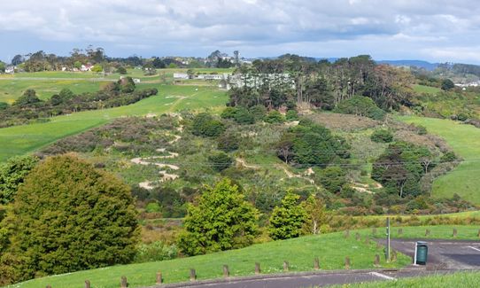 Anaconda Wanderer, Auckland