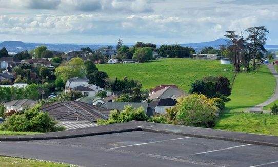 Anaconda Wanderer, Auckland