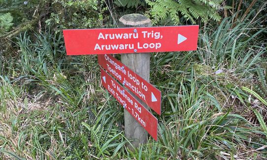 Arawaru Trig Loop, Manawatu - Wanganui