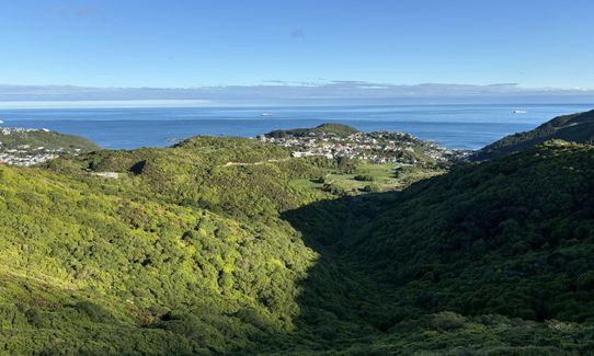 Aro Valley / Tip Track loop, Wellington