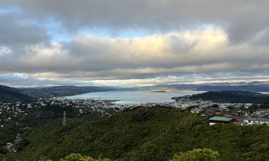 Aro Valley / Tip Track loop, Wellington