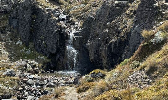 Ruapehu - West Side, Manawatu - Wanganui