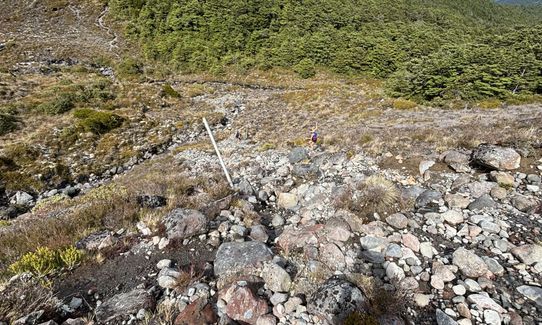 Ruapehu - West Side, Manawatu - Wanganui