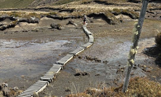 Ruapehu - West Side, Manawatu - Wanganui