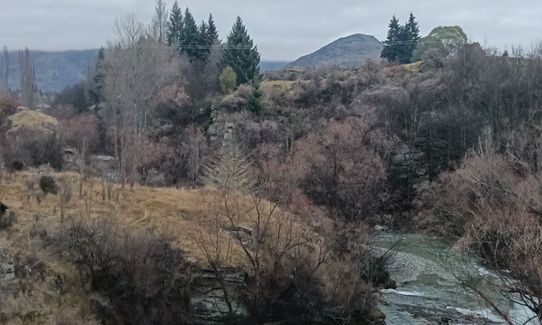 Arrow River Trail, Otago