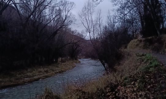 Arrow River Trail, Otago